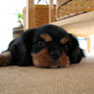 Meet your Posher, Jonathan